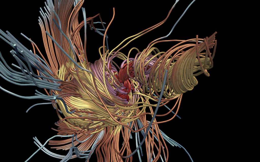 artwork 5